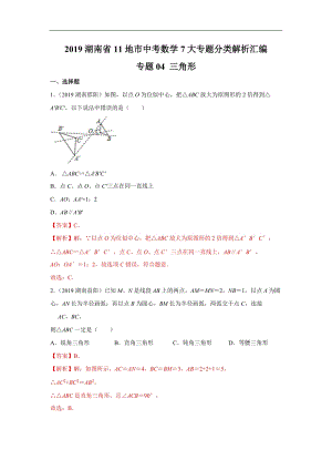 2019年湖南省中考数学真题分类汇编 专题4 三角形（解析版）