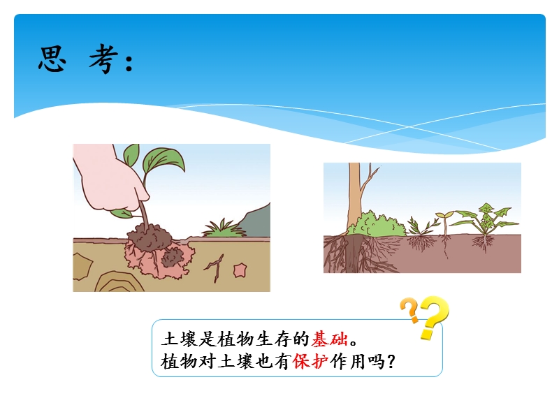 2019湘科版三年级上册科学3.4土壤的保护课件（共14张PPT）_第3页