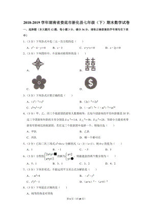 2018-2019学年湖南省娄底市新化县七年级（下）期末数学试卷（含详细解答）