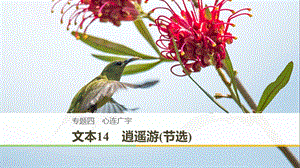 文本14 逍遥游(节选)ppt课件