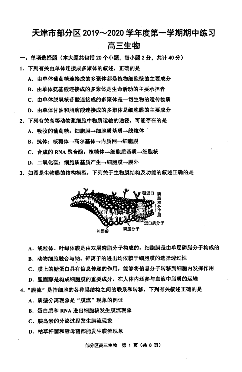 2020届天津市部分区高三上学期期中考试生物试题含答案（PDF版）_第1页