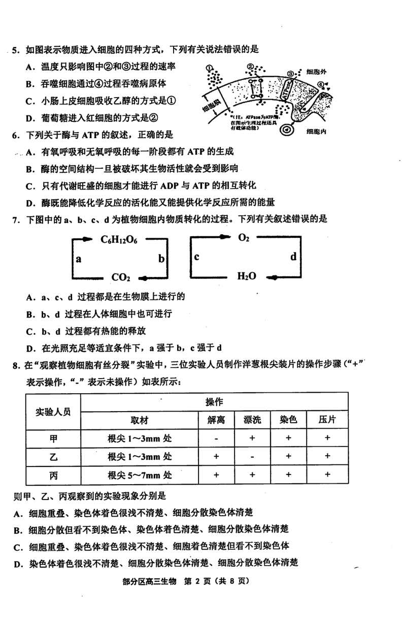 2020届天津市部分区高三上学期期中考试生物试题含答案（PDF版）_第2页