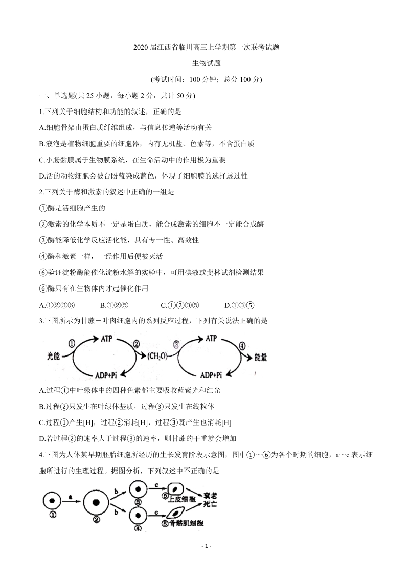 2020届江西省临川高三上学期第一次联考生物试题（含答案）_第1页