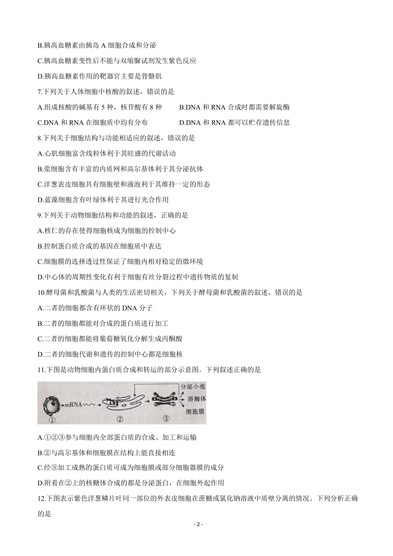 2020届河北省邢台市高三上学期第二次月考生物试题（含答案）_第2页