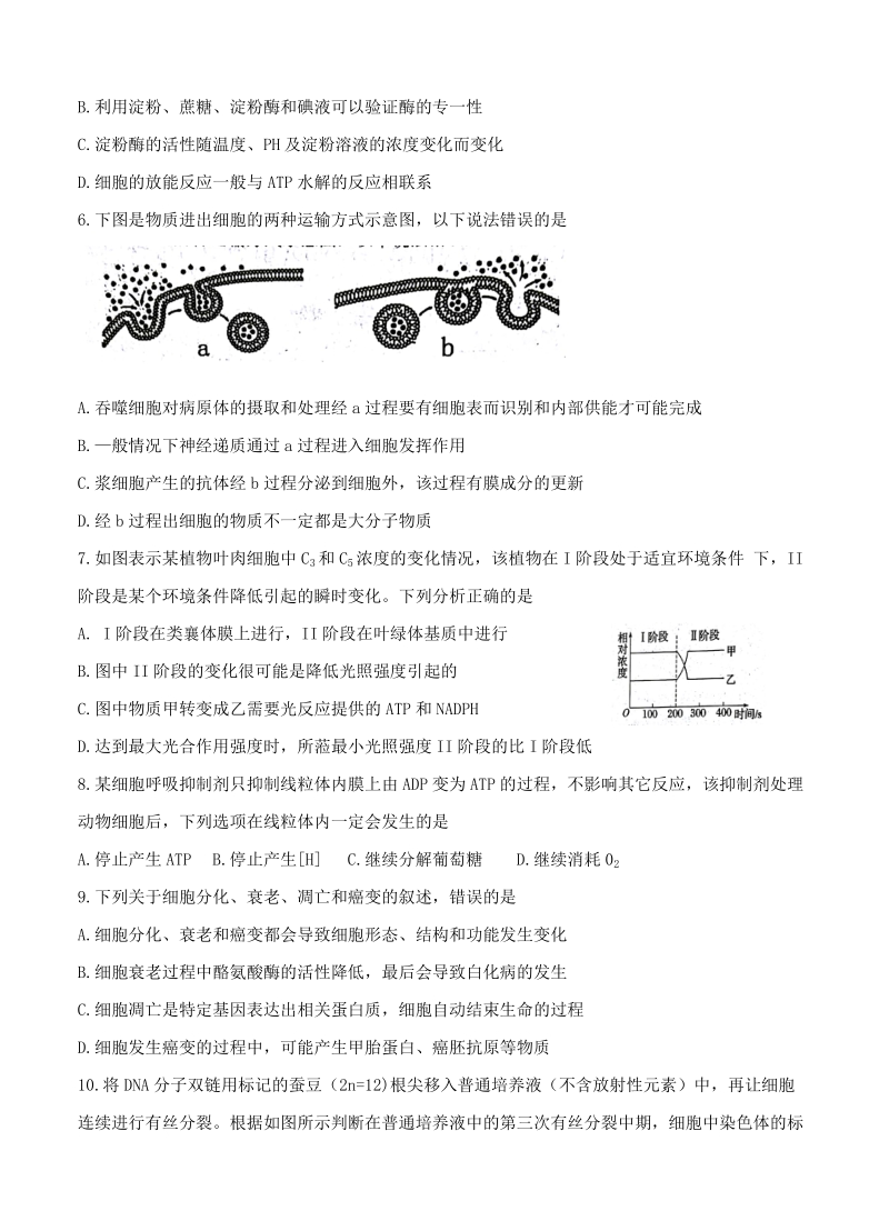 湖南省岳阳市2019届高三（一模）生物试卷（含答案）_第2页