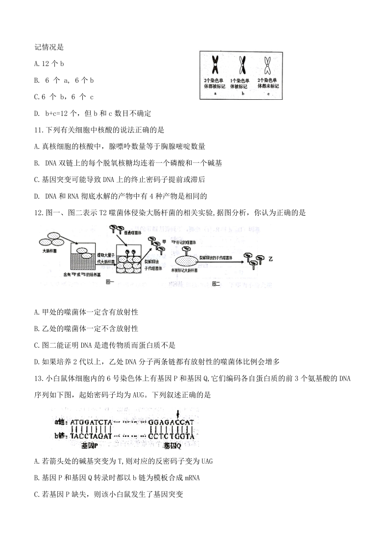 湖南省岳阳市2019届高三（一模）生物试卷（含答案）_第3页