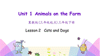 （三起）冀教版三年级英语下册Unit1 Lesson 2 Cats and dogs课件