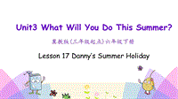 （三起）冀教版六年级英语下册Unit3 Lesson 17 Danny’s Summer Holiday课件