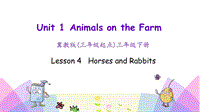 （三起）冀教版三年级英语下册Unit1 Lesson 4 Horses and rabbits课件