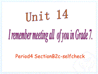 新目标九年级英语Unit14 period4课件