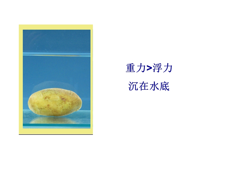 教科版小学科学五年级下1.7《马铃薯在液体中的沉浮》课件（1）_第2页