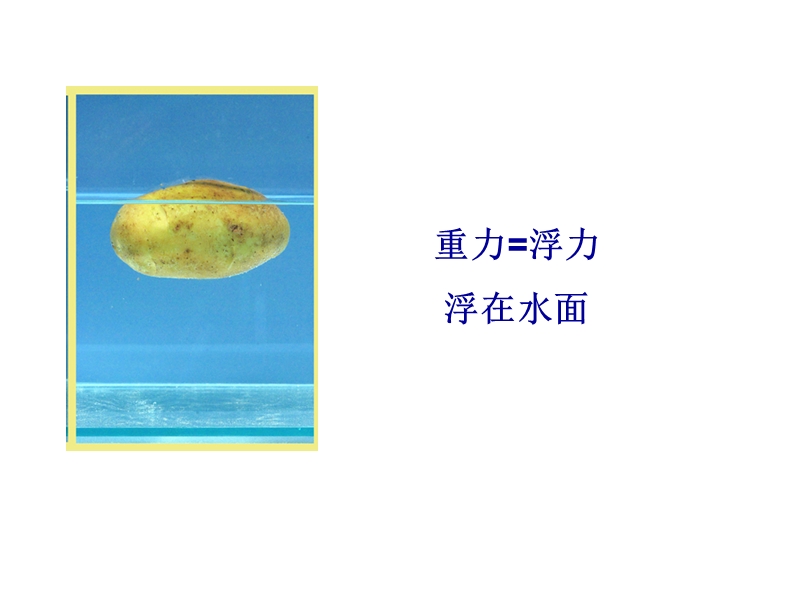 教科版小学科学五年级下1.7《马铃薯在液体中的沉浮》课件（1）_第3页