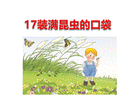 西师大版小学语文二年级下册：第17课《装满昆虫的口袋》课件