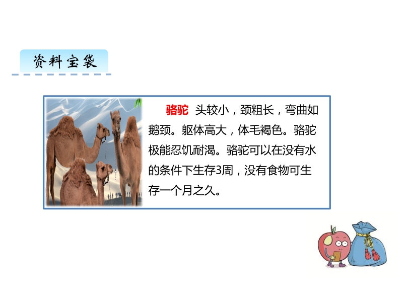语文S版小学语文二年级下册：第11课《找骆驼》课件_第2页