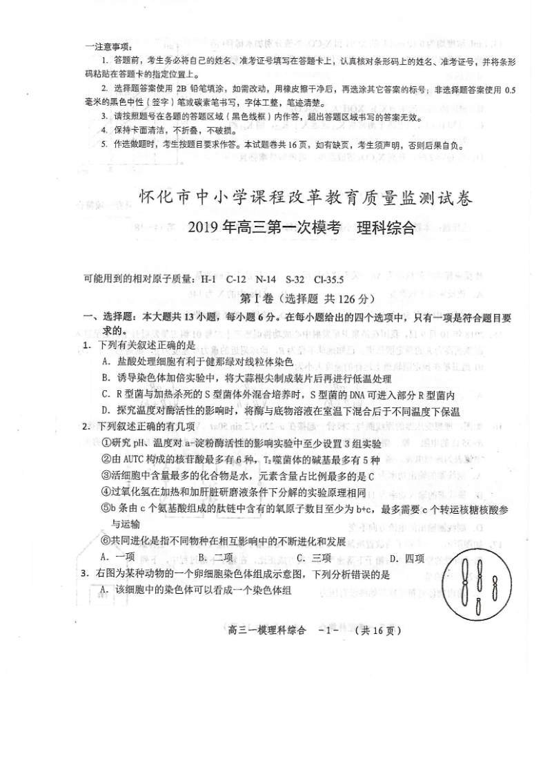 湖南省怀化市2019届高三3月第一次模拟考试理科综合试卷含答案（pdf版）_第1页