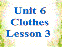 人教版（新起点）英语一年级下：Unit 6 Clothes Lesson 3同步课件