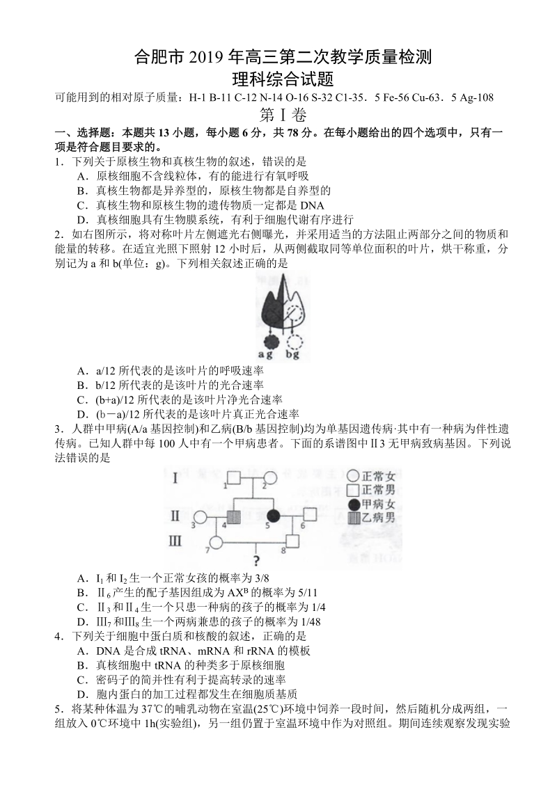 安徽省合肥市2019年高三第二次教学质量检测理综试题（含答案）_第1页