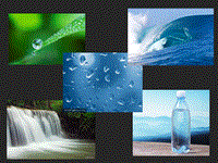 苏教版一年级科学下册：第4课《水是什么样的》(共11张PPT)