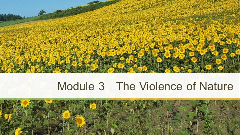 外研版高中英语必修3：Module 3 Period Three课件_第1页