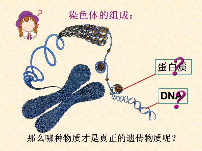 人教版高中生物必修二《3.1 DNA是主要的遗传物质》优选课件_第2页