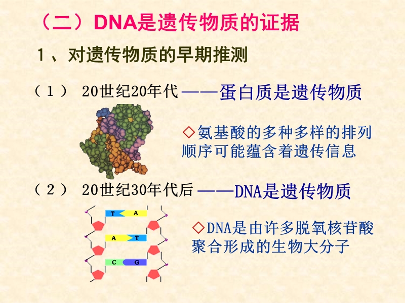 人教版高中生物必修二《3.1 DNA是主要的遗传物质》优选课件_第3页