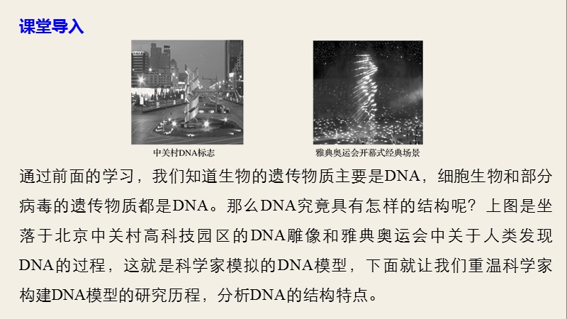 人教版高中生物必修二《3.2DNA分子的结构》精品课件_第3页