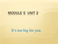 外研版（三起）五年级下英语Module5 Unit2 It's too big for you课件（2）