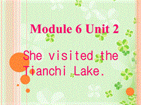 外研版（三起）五年级下英语Module6 Unit2课件