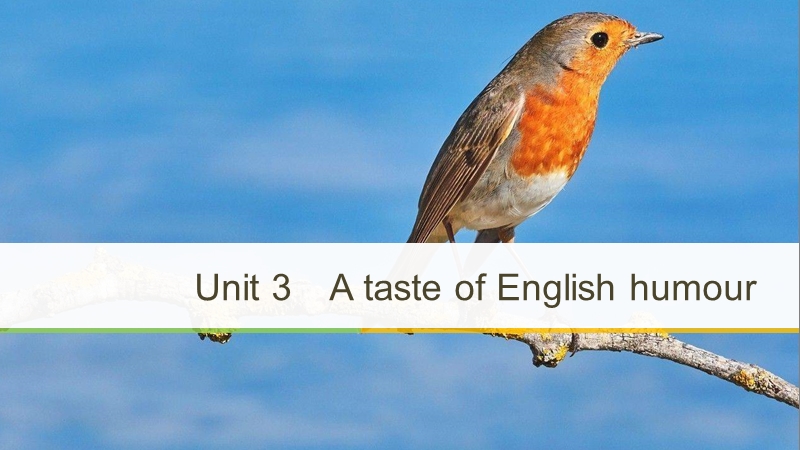 人教新课标高中英语必修四《Unit 3 Period Four》课件_第1页