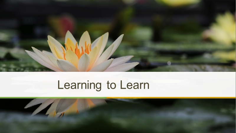 北师大版高中英语必修3课件：Unit 7 Learning to Learn_第1页