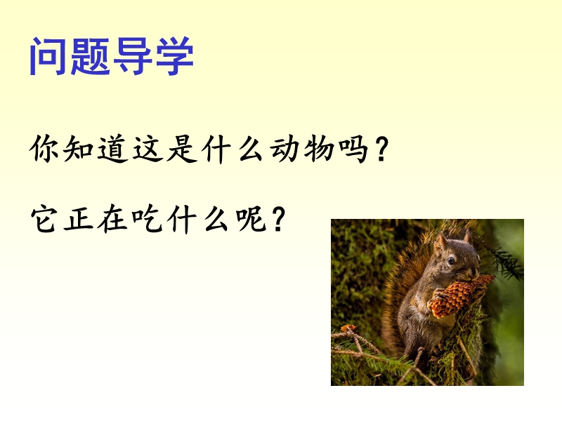 鲁教版语文一年级下册《松鼠和松果》课件_第2页