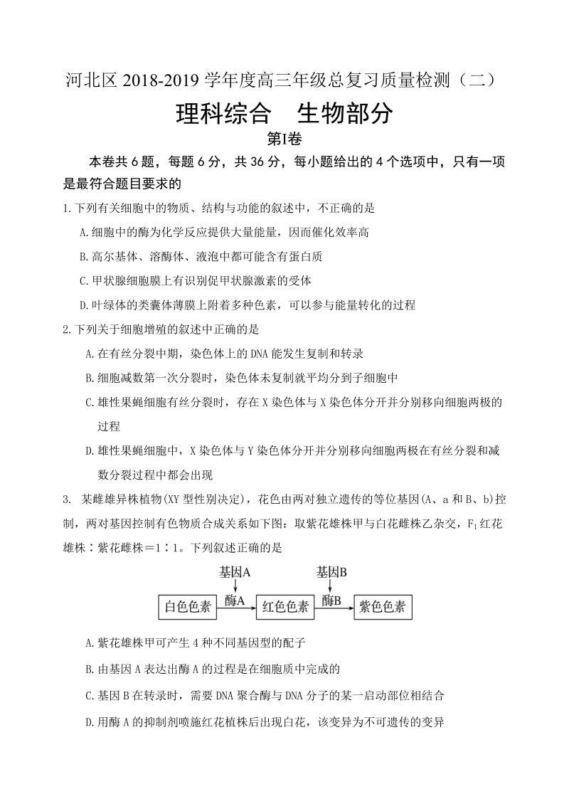 天津市河北区2019届高三二模考试理科综合试题（含答案）_第1页