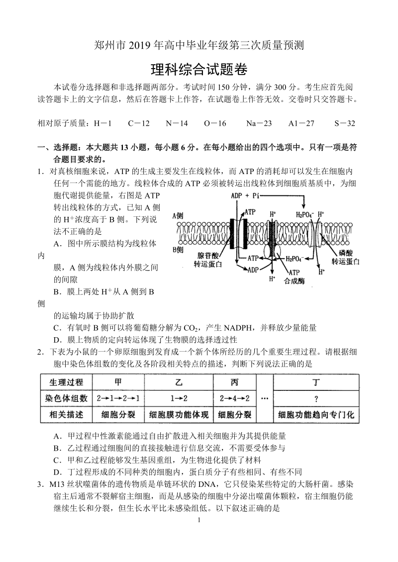 河南省郑州市2019年高中毕业年级第三次质量预测理科综合试卷（含答案）_第1页