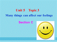 仁爱版八年级英语下册Unit5 Topic 3 Section C课件
