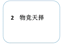 六年级下册科学课件－1.2 物竞天择｜湘教版 (共17张PPT)