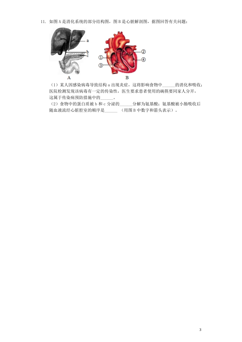 四川省泸州市2019年中考生物真题试题（含解析）_第3页