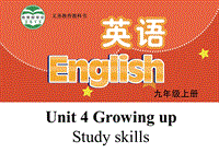 【公开课】牛津译林版九年级上英语Unit4 Study skills 课件