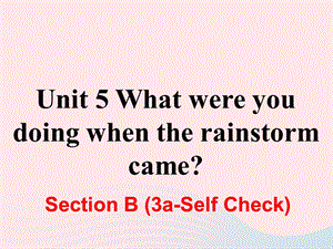 人教新目标版八年级英语下册Unit5 What were you doing when the rain storm cameSectionB（3a_SelfCheck）课件