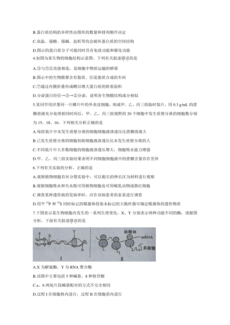 辽宁省2021届高三上学期测评考试理科综合试题（含答案）_第2页