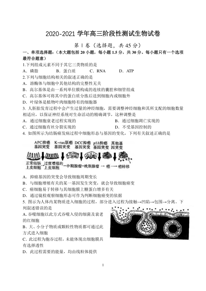 江苏省扬州市广陵区重点中学2021届高三10月月考生物试题（含答案）_第1页