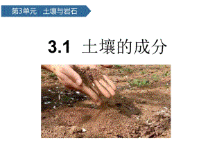 2020年青岛版（六三制）三年级科学上册 3.1土壤的成分ppt课件