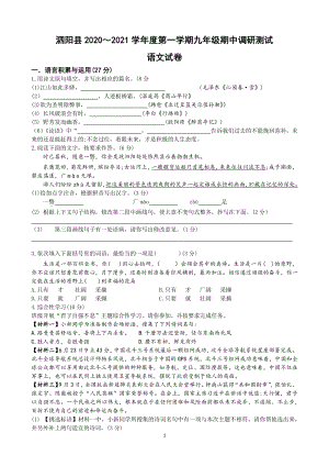 江苏省泗阳县2020-2021学年九年级上期中县统测语文试卷（含答案）