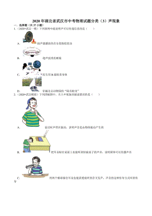 2020年湖北省武汉市中考物理模拟试题分类（3）声现象（含解析）