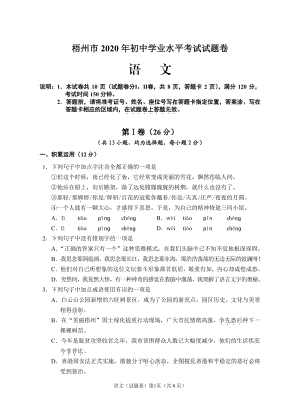 广西省梧州市2020年中考语文试题（含答案）