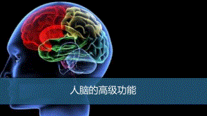 2.5 人脑的高级功能ppt课件（2020年新教材人教版高中生物选择性必修1）