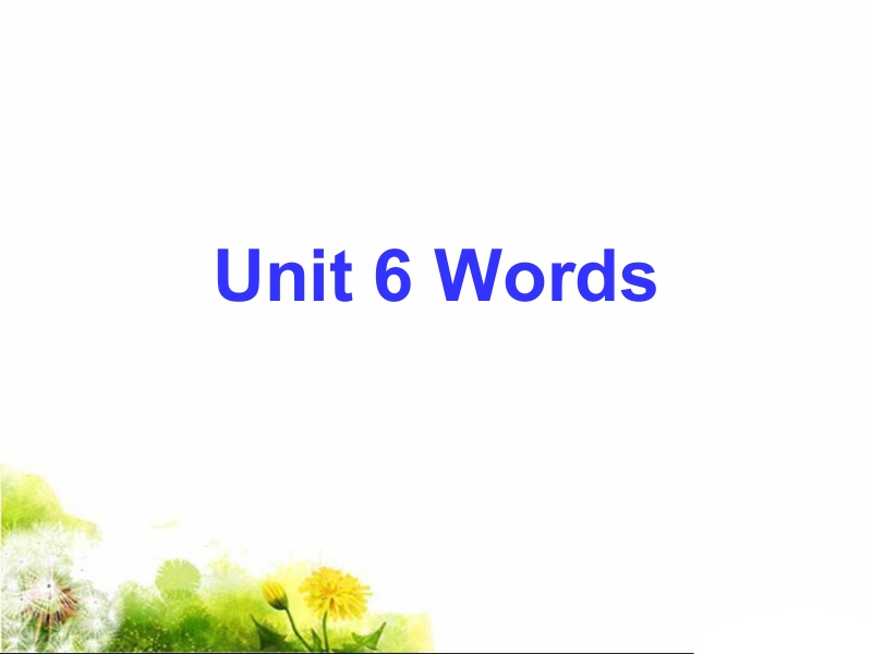 外研版2019必修第一册 Unit 6 词汇精讲（共25张）_第1页
