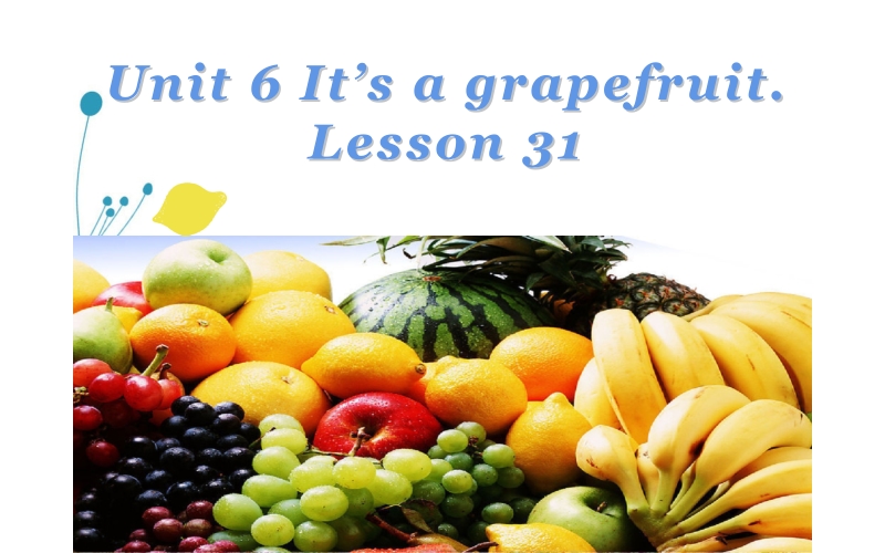 五年级上册英语课件-Unit6 It’s a grapefruit. Lesson 31 人教精通版(共17张PPT)_第1页