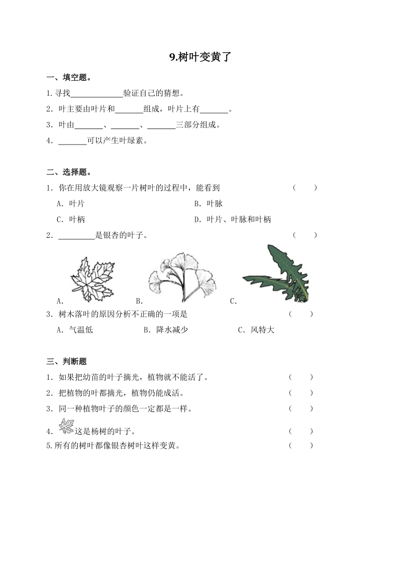 第9课《树叶变黄了》课时练习（含答案）_第1页