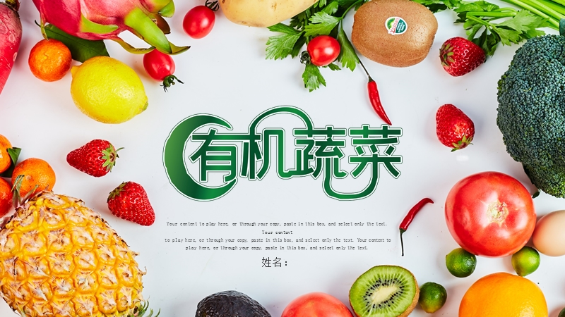 绿色有机蔬菜营销宣传通用PPT模板_第1页