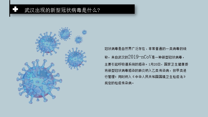新型冠状病毒预防知识PPT模板_第3页